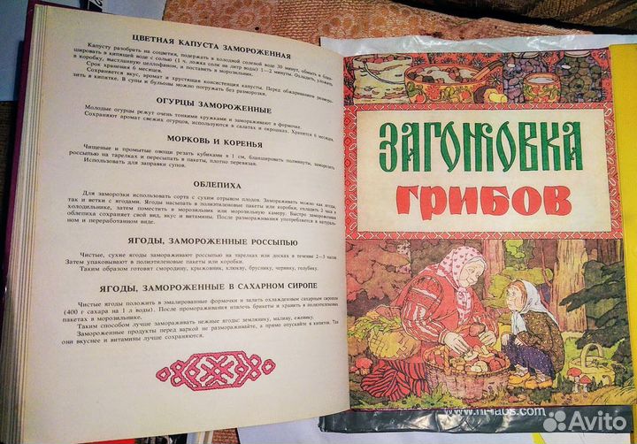 Русский дом. Книга для хозяйки и хозяина