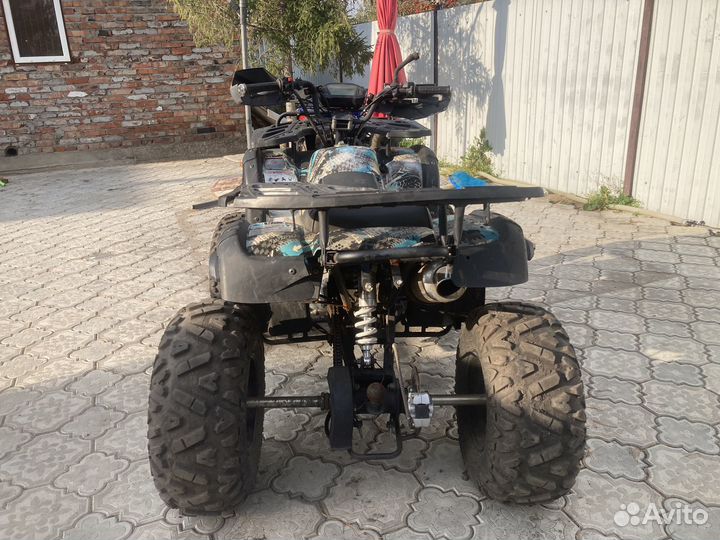 Квадроцикл Grizzly 250