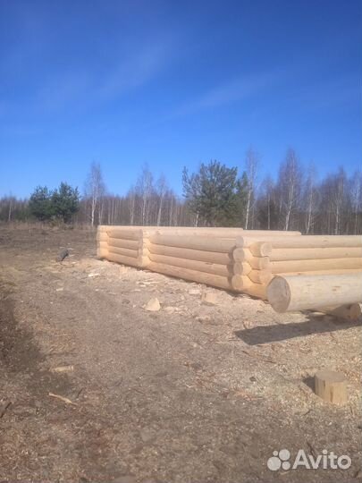 Срубы из зимнего леса