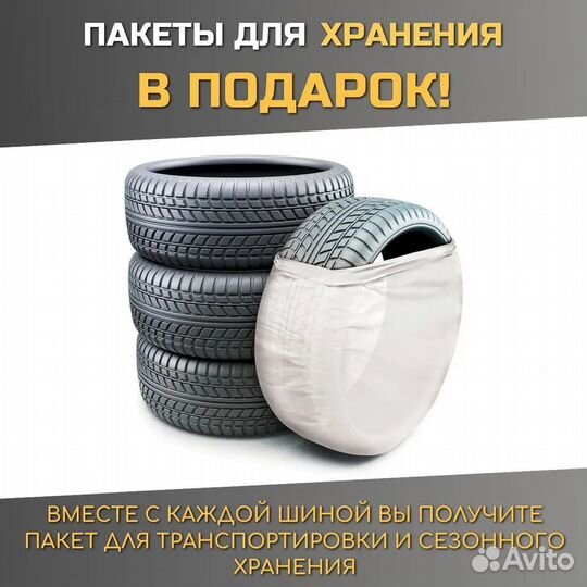 Pirelli Scorpion Winter 255/50 R19 107V