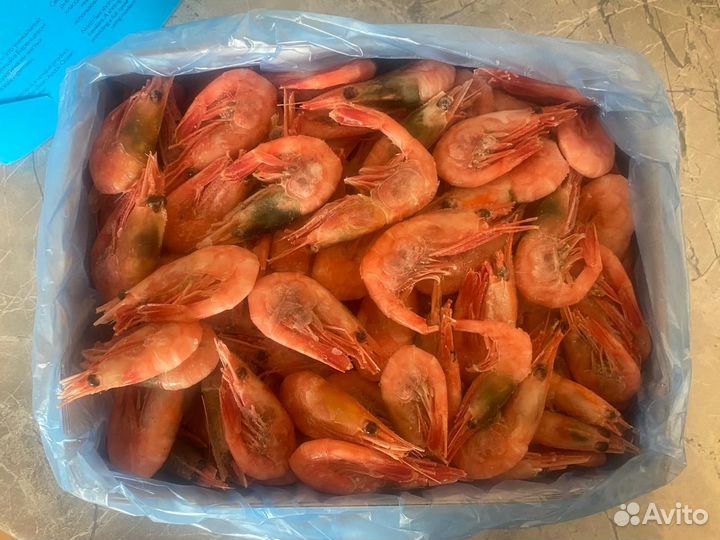 Креветки Северные 70 90