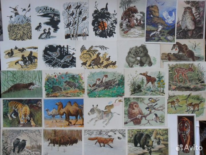 Звери, птицы, Исаков, Гамбургер, Чарушин, Ватагин