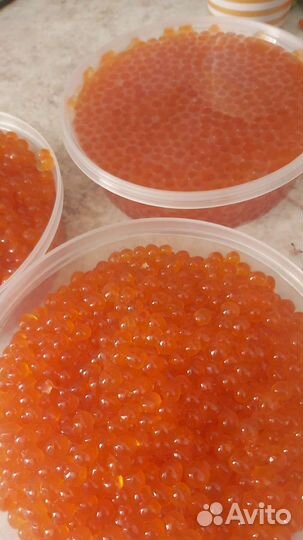 Красная икра кета,кижуч