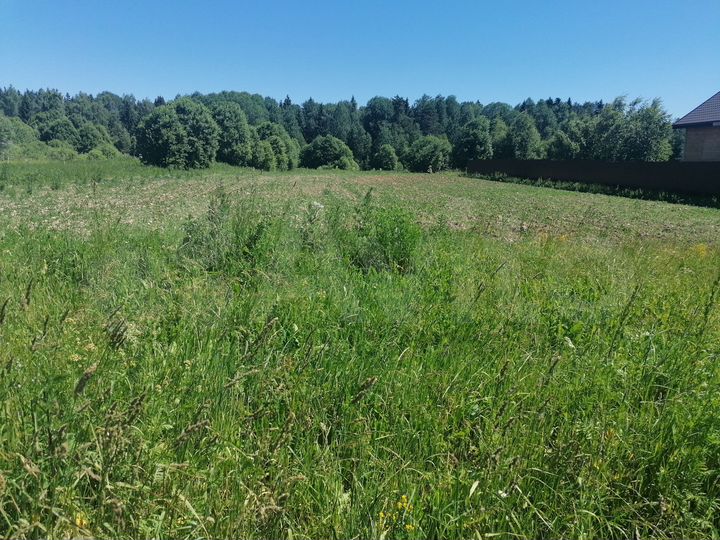 Участок 15 сот. (ИЖС)