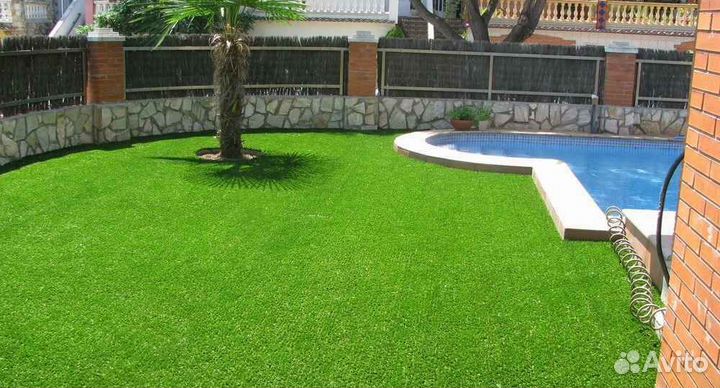 Рулонный газон эконом