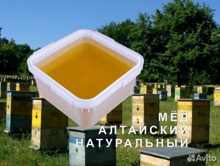 Мед натуральный из Алтая оптом