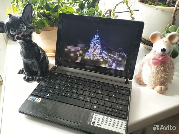 Нетбук packard Bell