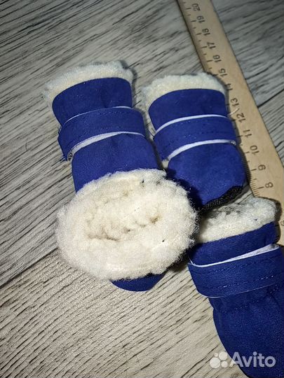 Ботинки для маленькой собачки