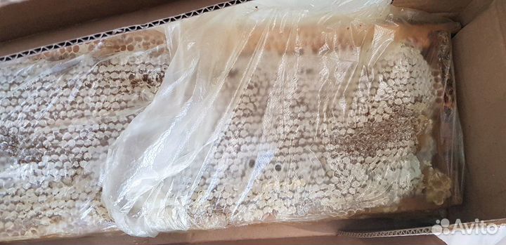 Продам мед в сотах, запечатаные рамки