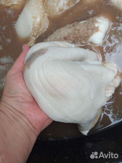 Мясо. Рубец, требуха