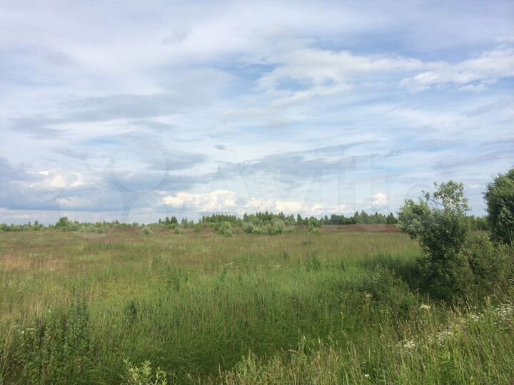 Участок 36 га (СНТ, ДНП)