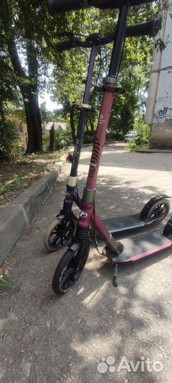 Самокат для взрослых Tech team sport 250r