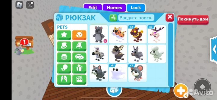 Петы адопт ми