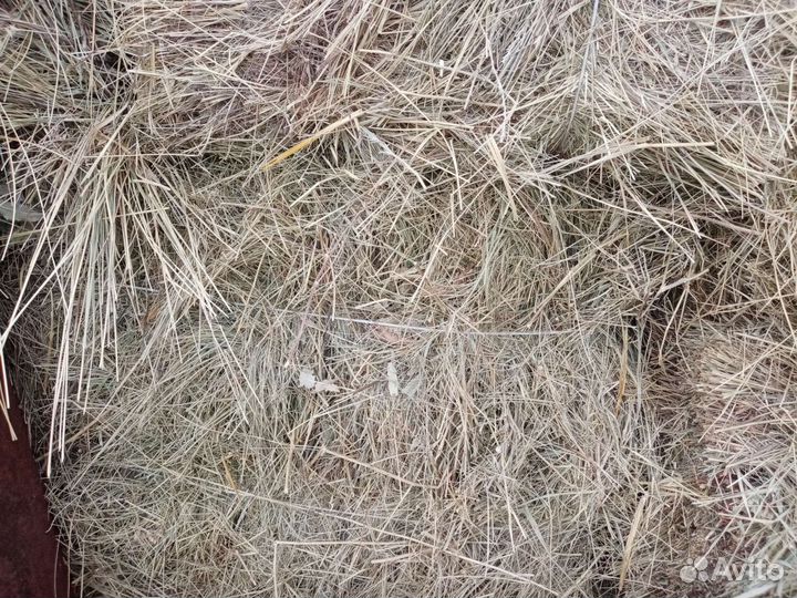 Сено в тюках