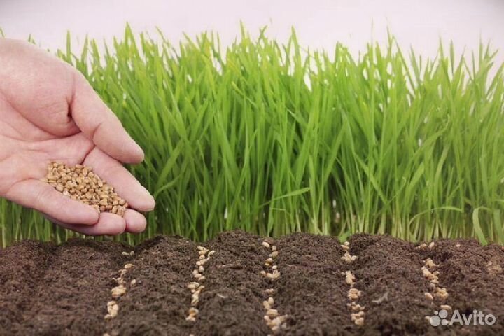 Грунт растительный