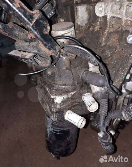 Радиатор масляный Volkswagen Bora 1999