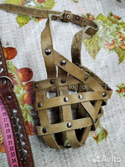 Ошейник для собак