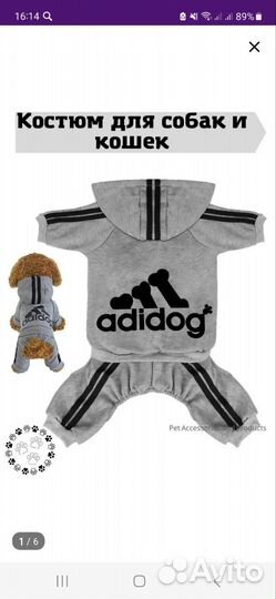 Одежда для собак мелких пород