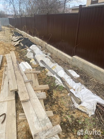 Саженцы малины