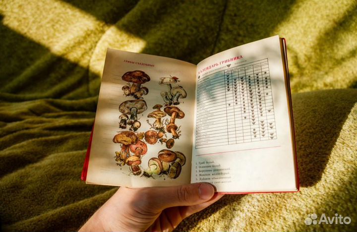 Советский полевой дневник