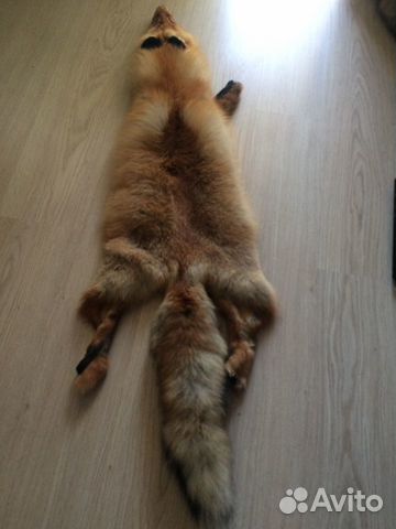Шкура лисы,енотовидной собаки