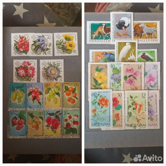 Почтовые марки СССР и иностранных