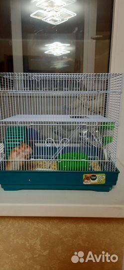 Клетка для грызунов бу+хомяк в добрые руки