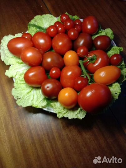 Отборные семена сортов томатов мировой селекции купить в Дубне | Товары для  дома и дачи | Авито