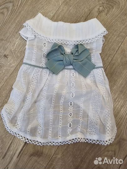 Товары для кошек и собак: игрушки,шлейки