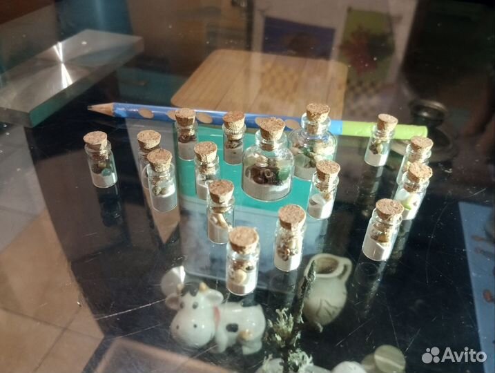 Сувенир с чёрного моря