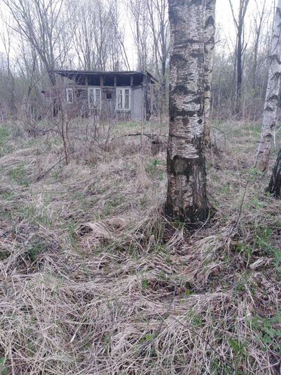 Участок 6 сот. (СНТ, ДНП)