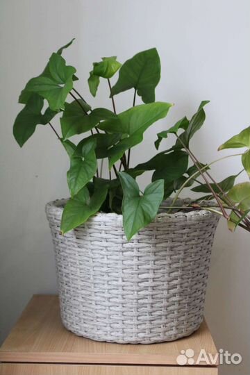 Кашпо для цветов