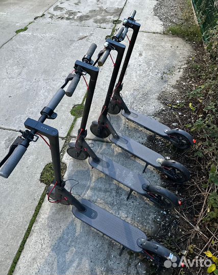 Самокат Xiaomi m365