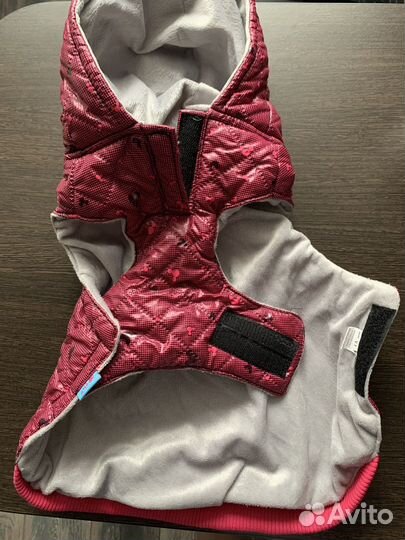 Одежда для собак мелких пород