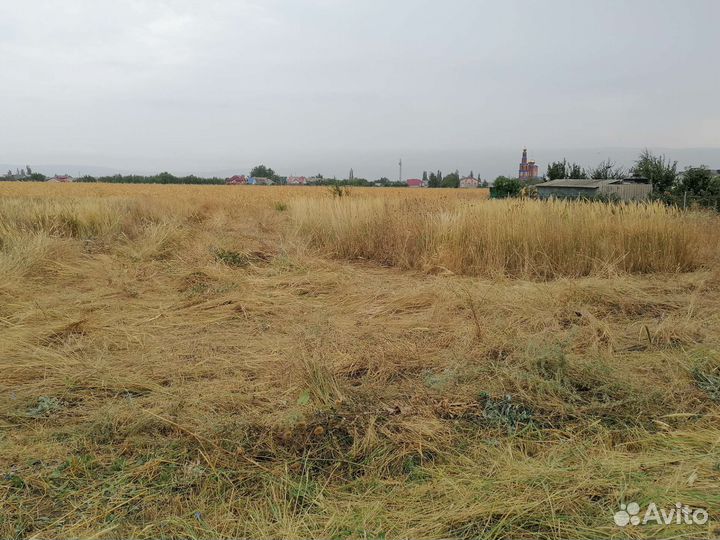 Продам сено