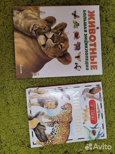 Детская энциклопедия