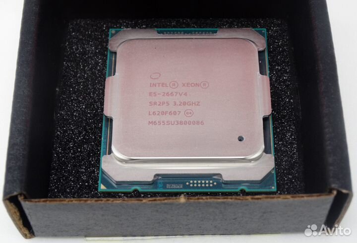 Intel Xeon E5-2667 v4/LGA2011-3/X99