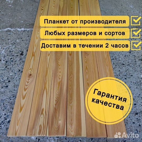 Планкен прямой лиственница
