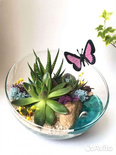 Флорариум на подарок. 16 см. Скошенный шар