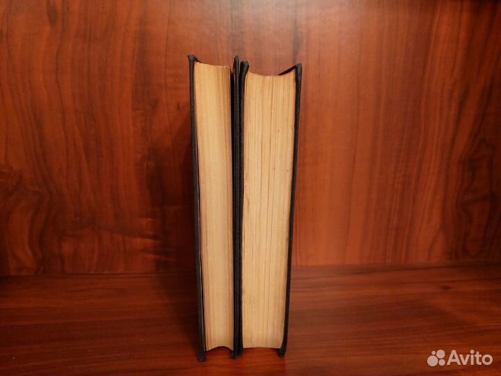 Радищев А.Н. Путешествие из Петербурга в Москву