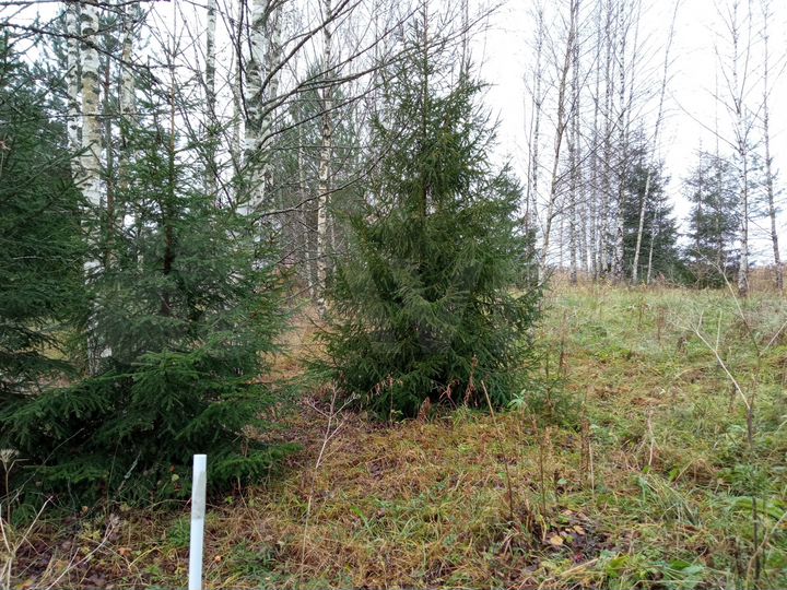 Участок 14,4 сот. (ИЖС)