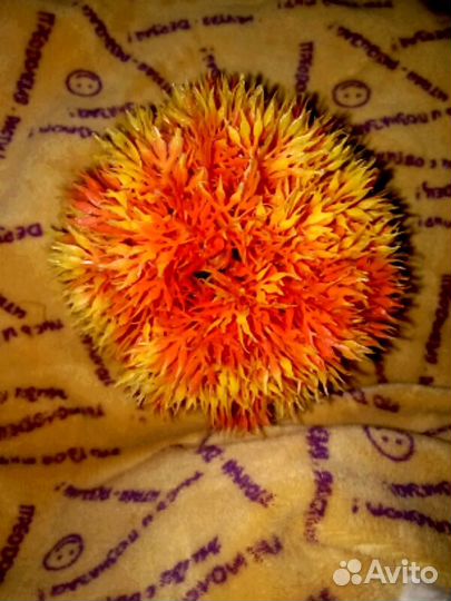 Отдам Пакет с Куклами