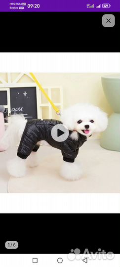 Куртка для собак