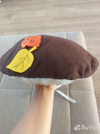 Шляпа гриба