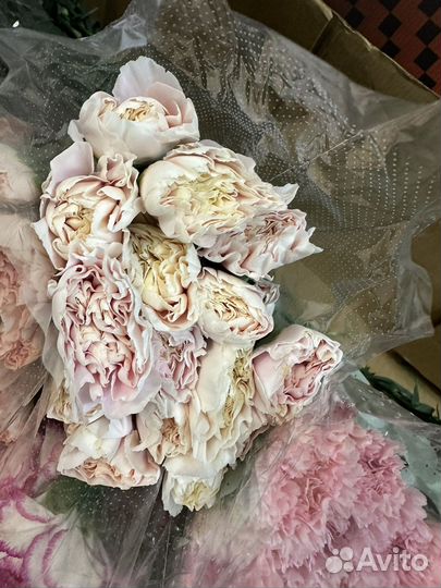 Цветы оптом