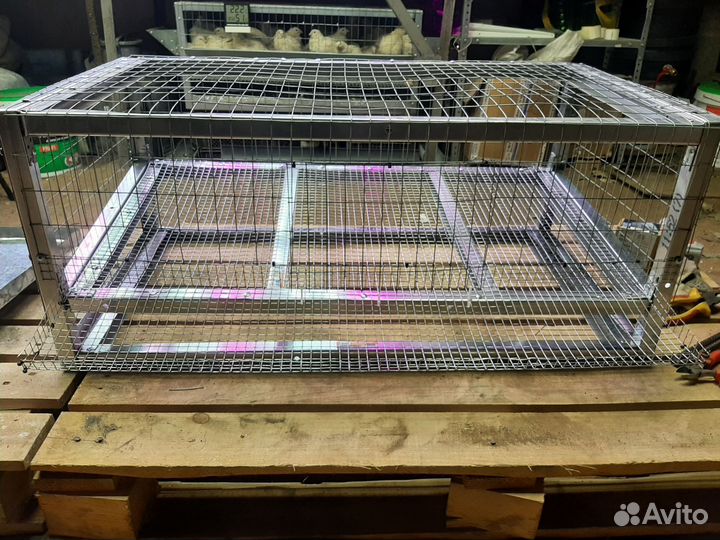 Клетки для перепелов
