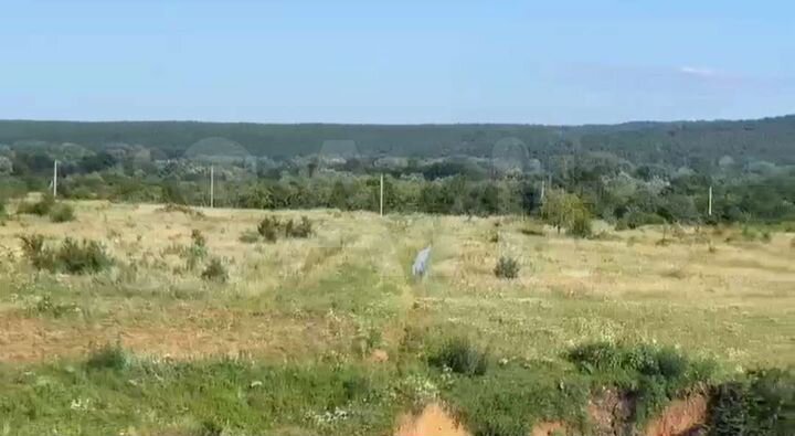 Участок 6 сот. (ИЖС)