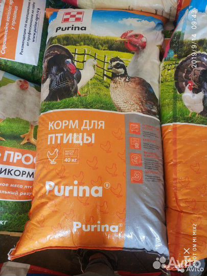 Purina комбикорм и бвмк для с/х животных и птицы