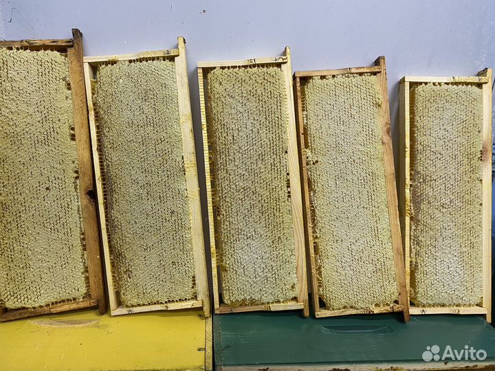 Мёд Сотовый 2023 Оптом