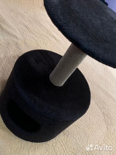 Когтеточка